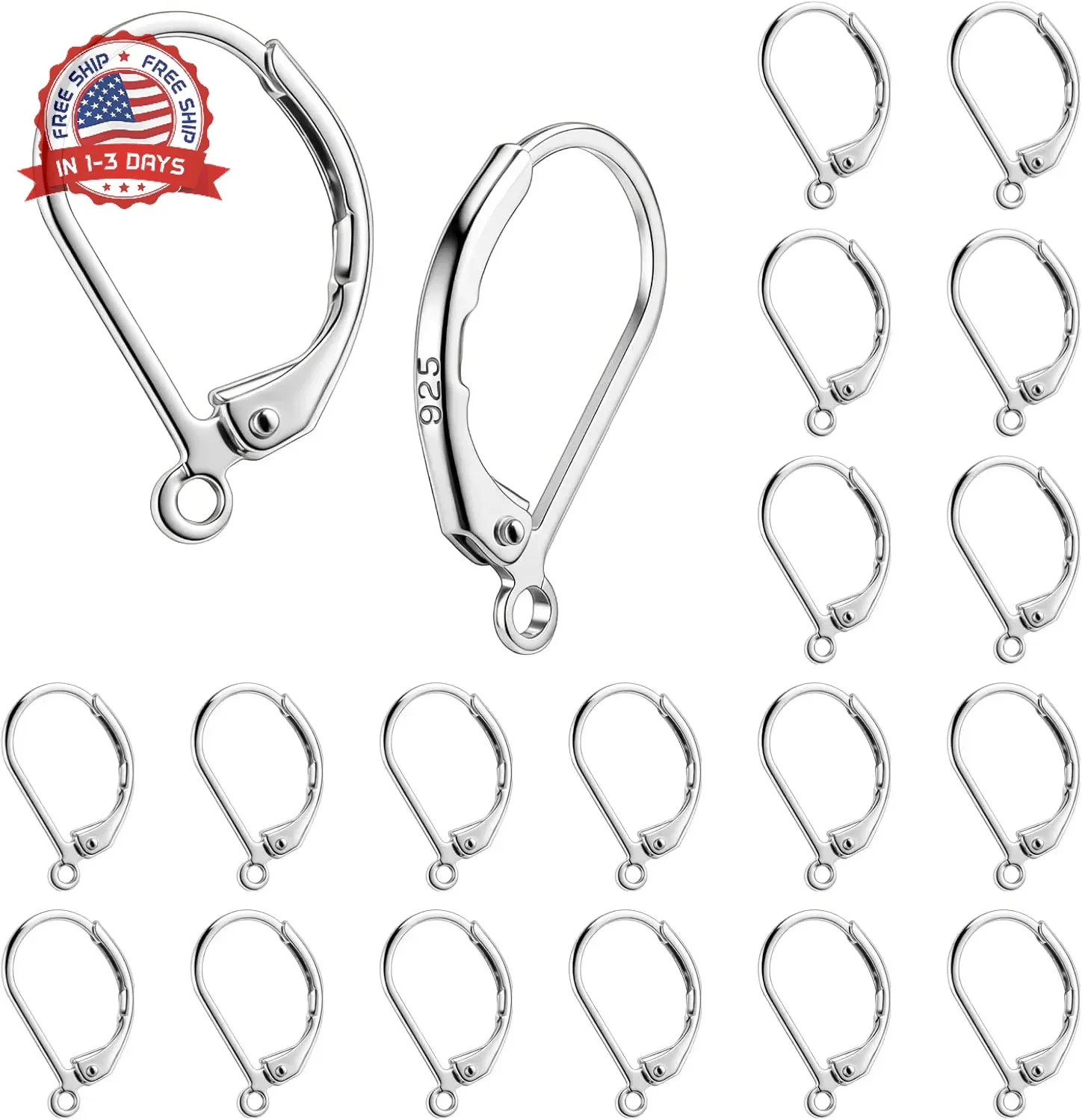20 PCS Hypoallergenic Leverback Earring Hooks for Jewelry Making Supplies with L
