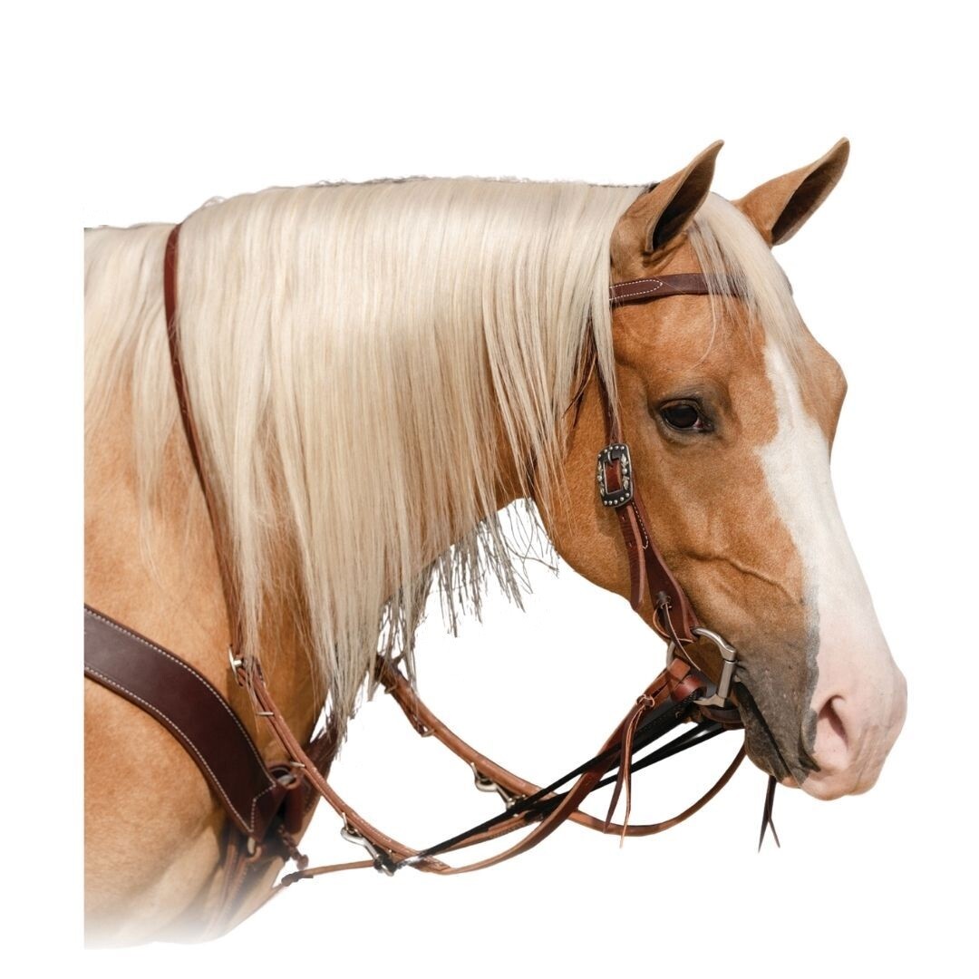 Professional's Choice Single Rein German Martingale