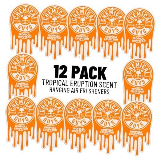 Hanging Air Fresheners - Tropical Eruption for Cars, Trucks, SUVs, RVs, Home,