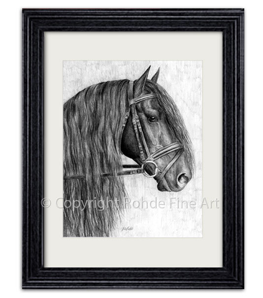 FRIESIAN STALLION dressage horse FRAMED ART PRINT portrait artist signed Rohde