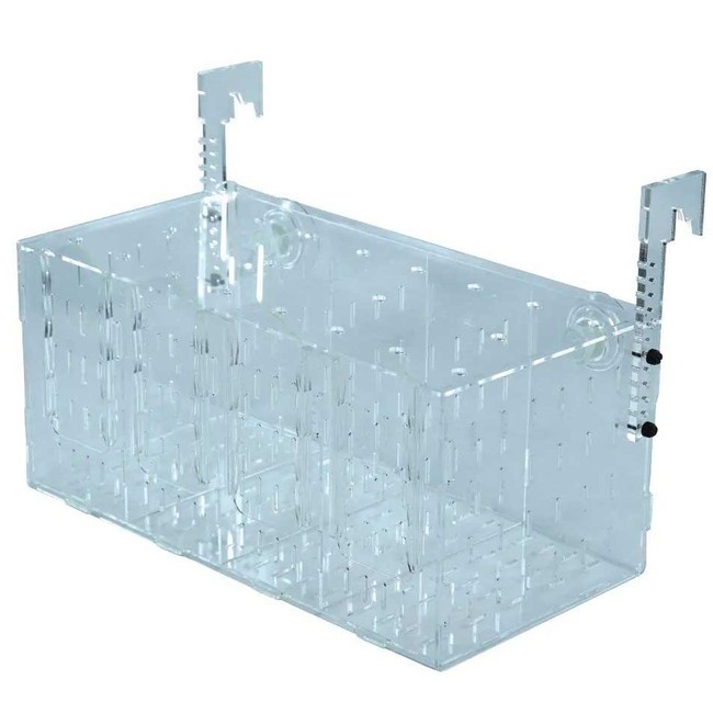Isolation Box - 4 Room - IceCap