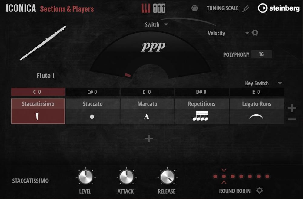 Steinberg Iconica Sections & Players