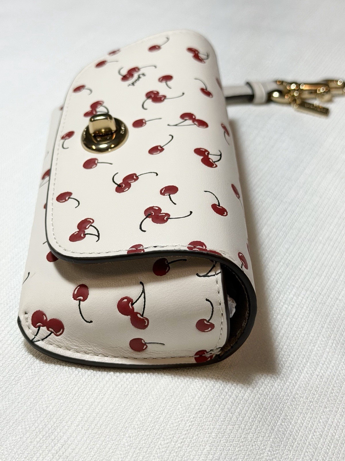 COACH Turnlock Sunglass Case 🍒 Cherry Print - Gold/Chalk Multi - NWT CFA49