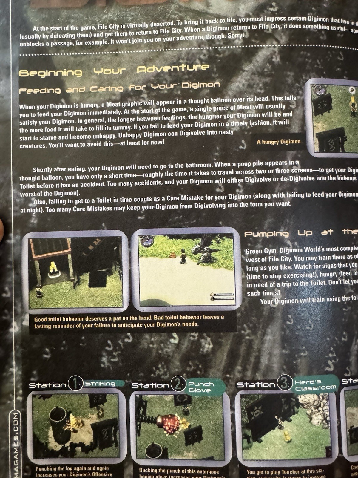 Digimon World Hardcover Strategy Guide Custom