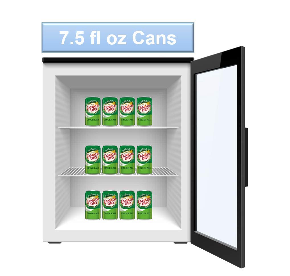 Ginger Ale Mini Soda Cans, 7.5 oz Soft Drinks Bulk Snacks 24 Pack, Small