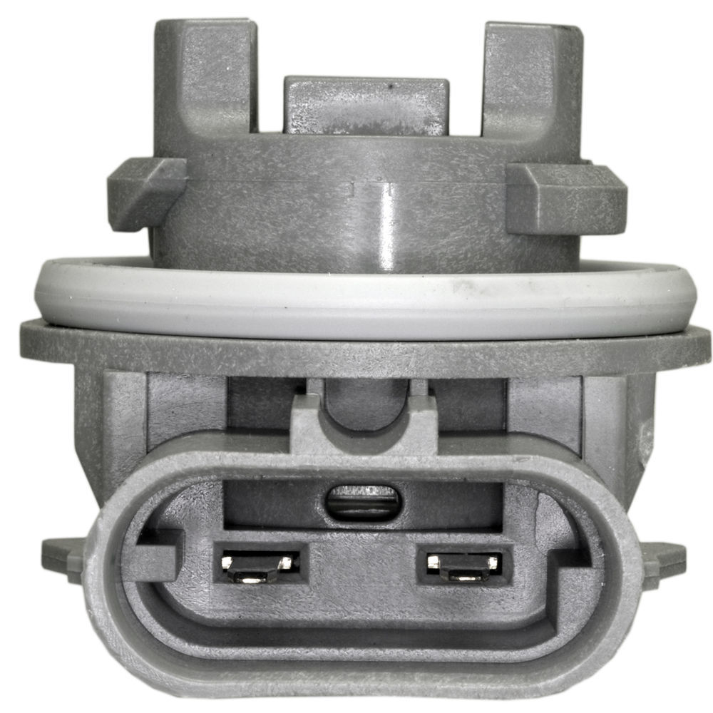 Combination Light Socket-Back Up Light Socket WVE 1P1329
