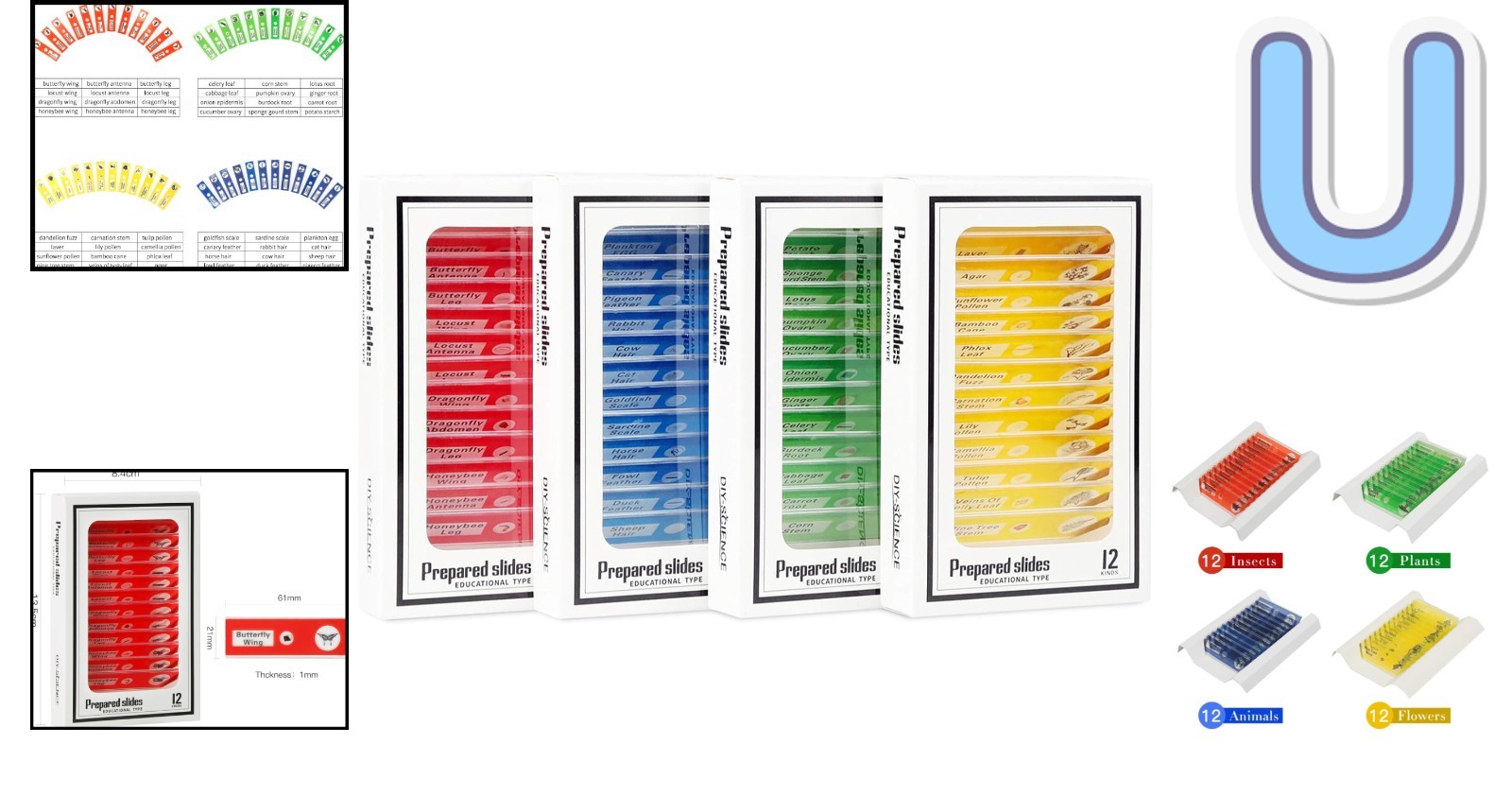 48 Prepared Microscope Slides for Kids - Safe & Clear Science Education