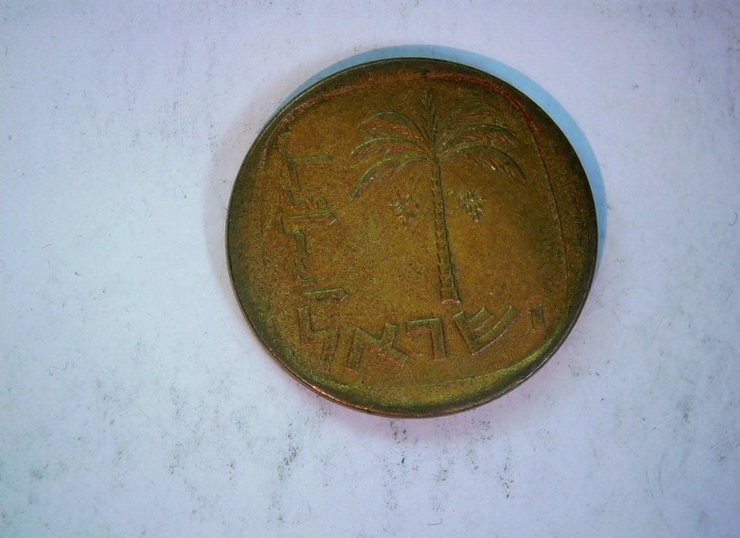 Israel 10 Agorot Israel 10 Agorot (palm tree) Coin