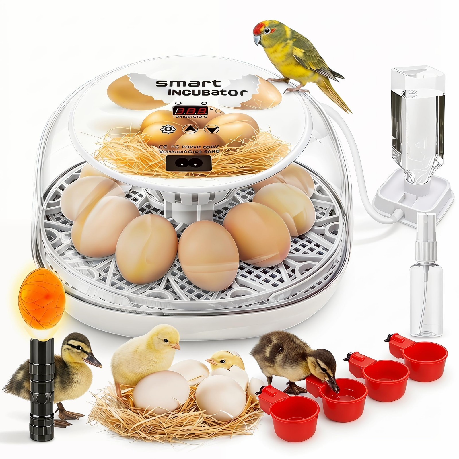 Hatching Egg Incubator with 360° Clear Window, Automatic Turner & Waterer Cups f