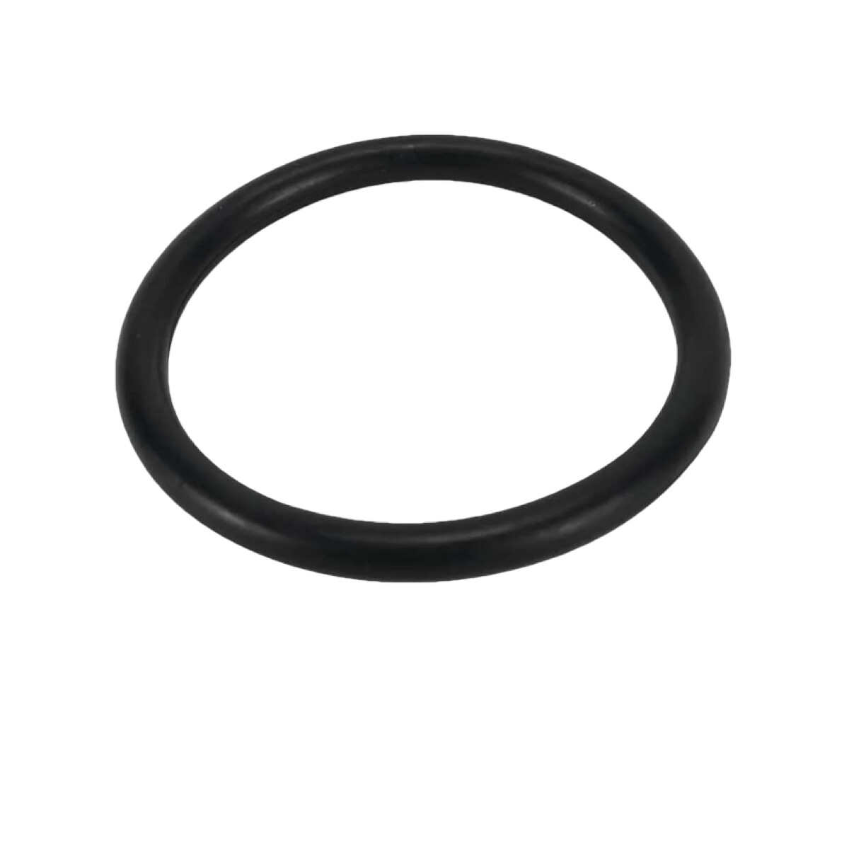 EZFLO Replacement Cap O-Ring