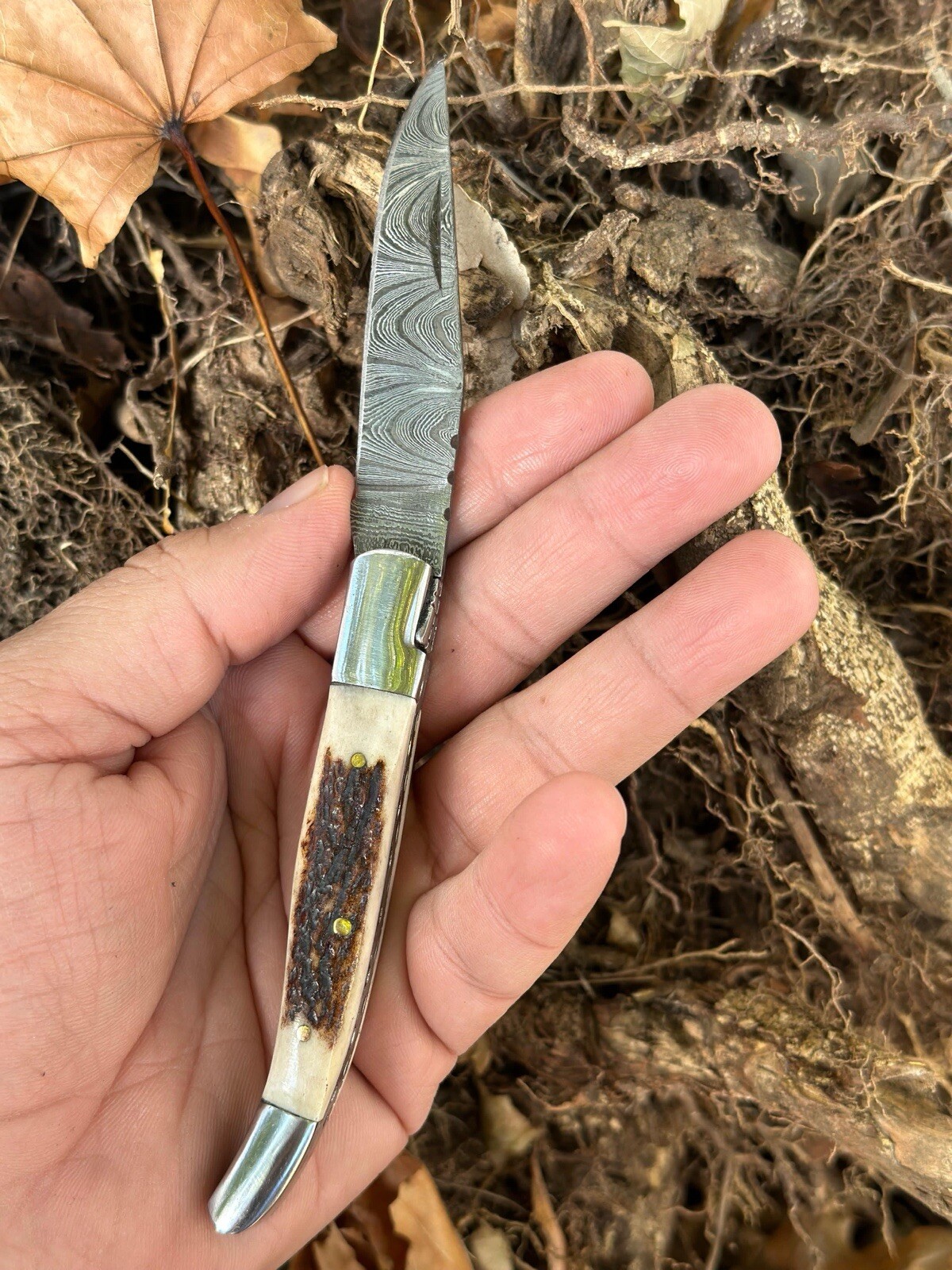 Best Toothpick Pocket Knife folding Blade-Original Stag Antler Handle