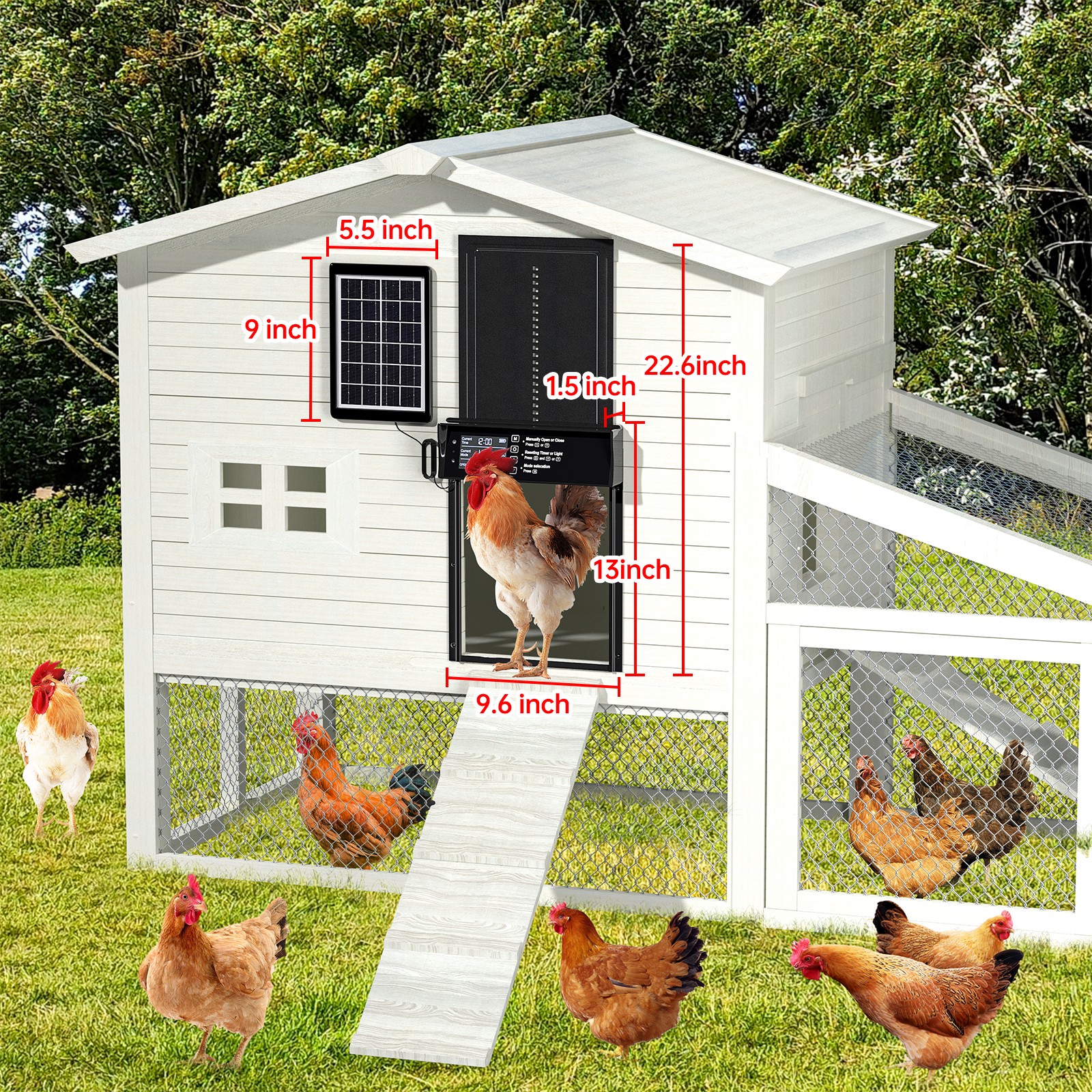 Solar Automatic Chicken Coop Door Poultry Gate Timer & Light Sensor & Anti-Pinch