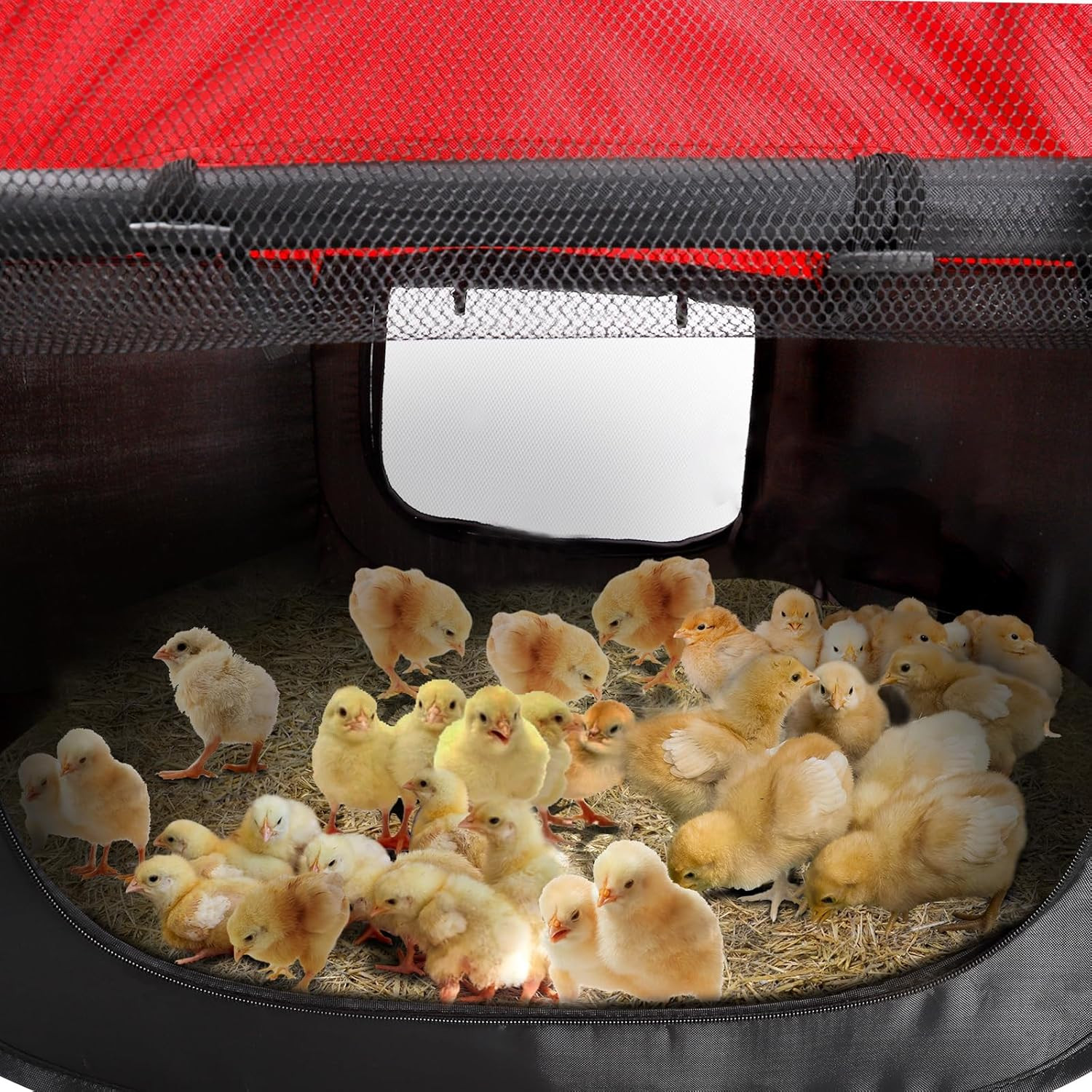 Brooder Box for Chicks - Chicken Brooder Kit with Dual Doors Design Pop-Up Playp