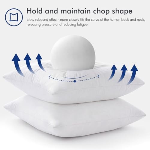 Feather Pillow Insert 28x28, Decorative Down Feather Decorative 28x28 Inch 1