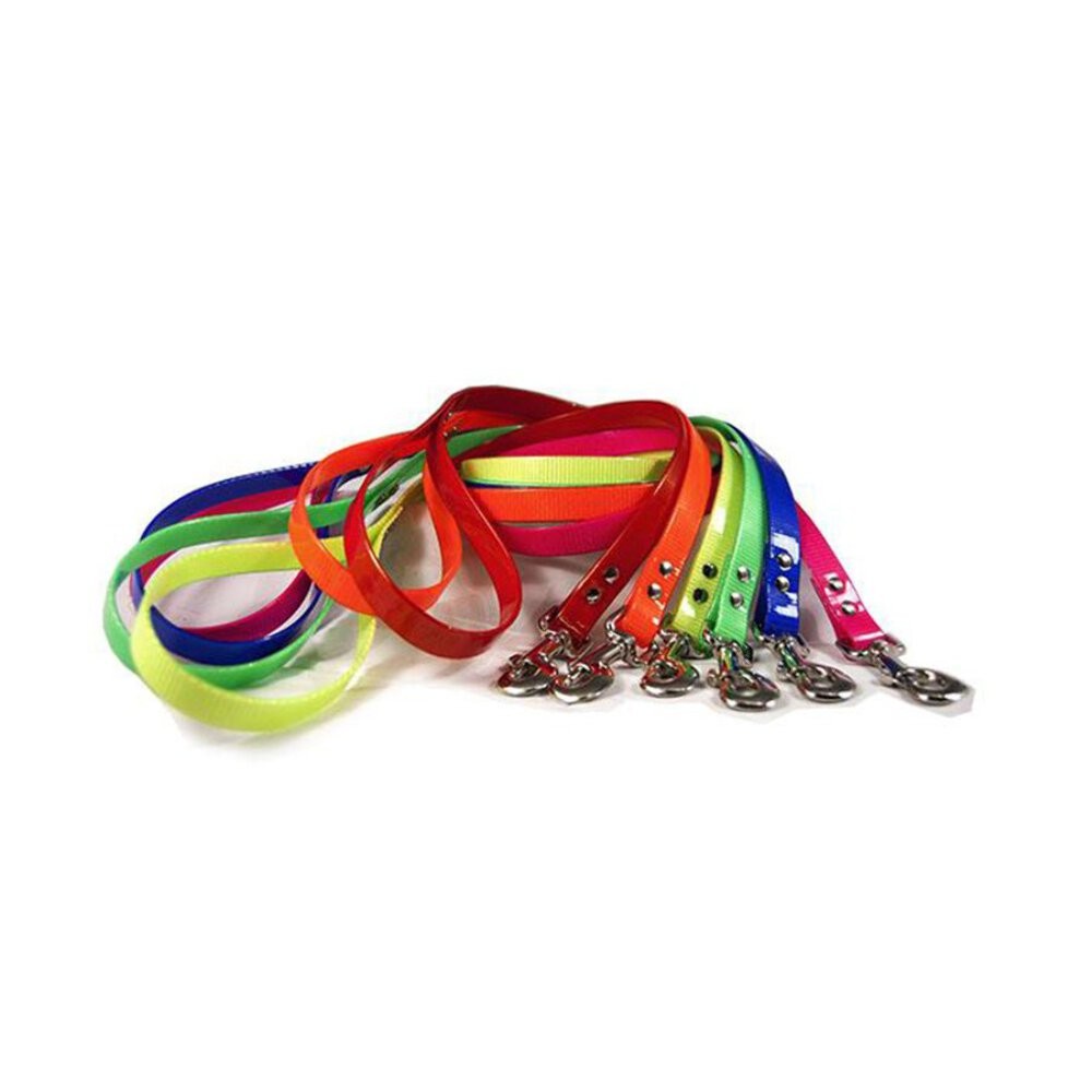 Dayglo 4 Foot Lead - Dogs Leash - Lion Country Supply - Made in USA