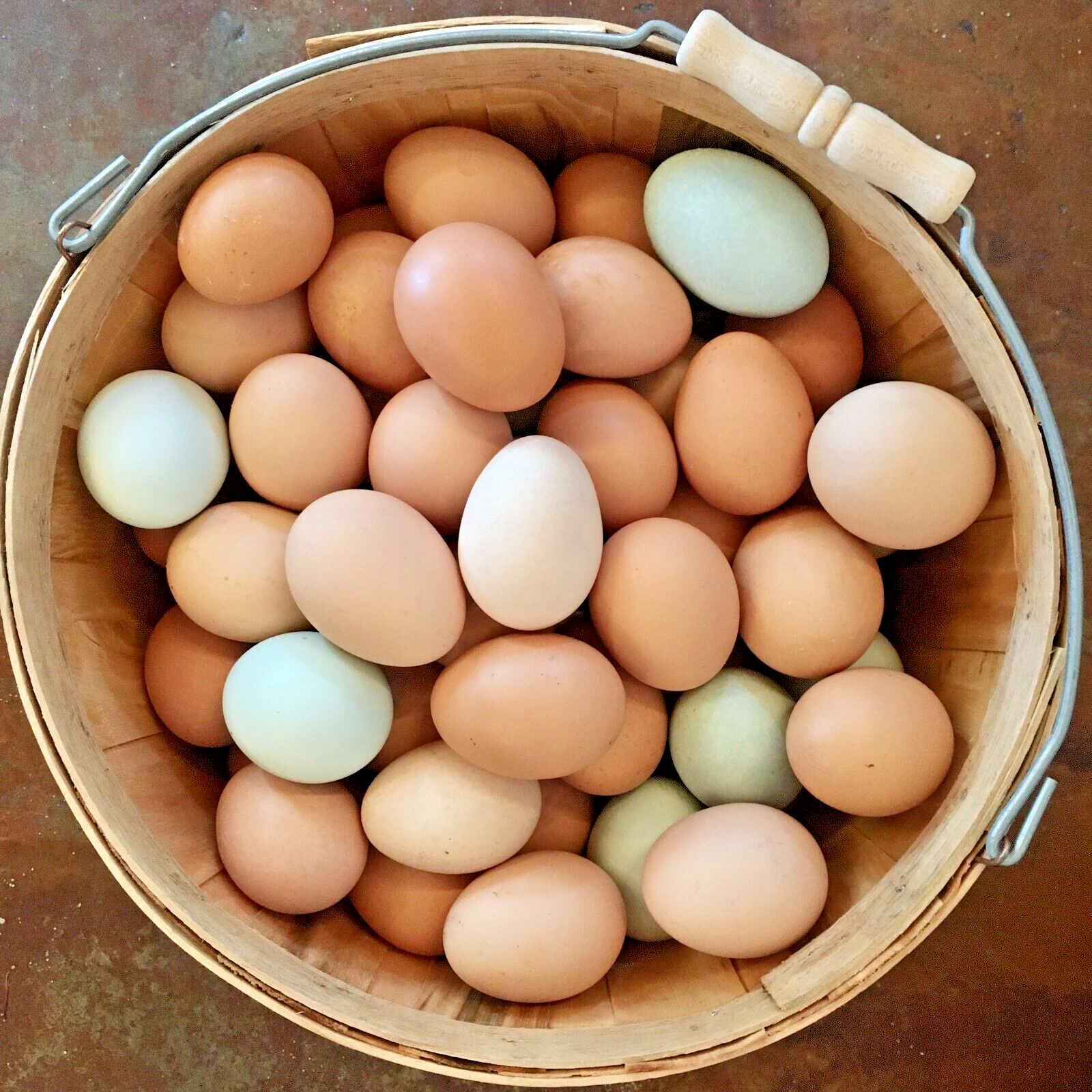 10 Custom Select Chicken Hatching Eggs - You Choose - See Description for Breeds