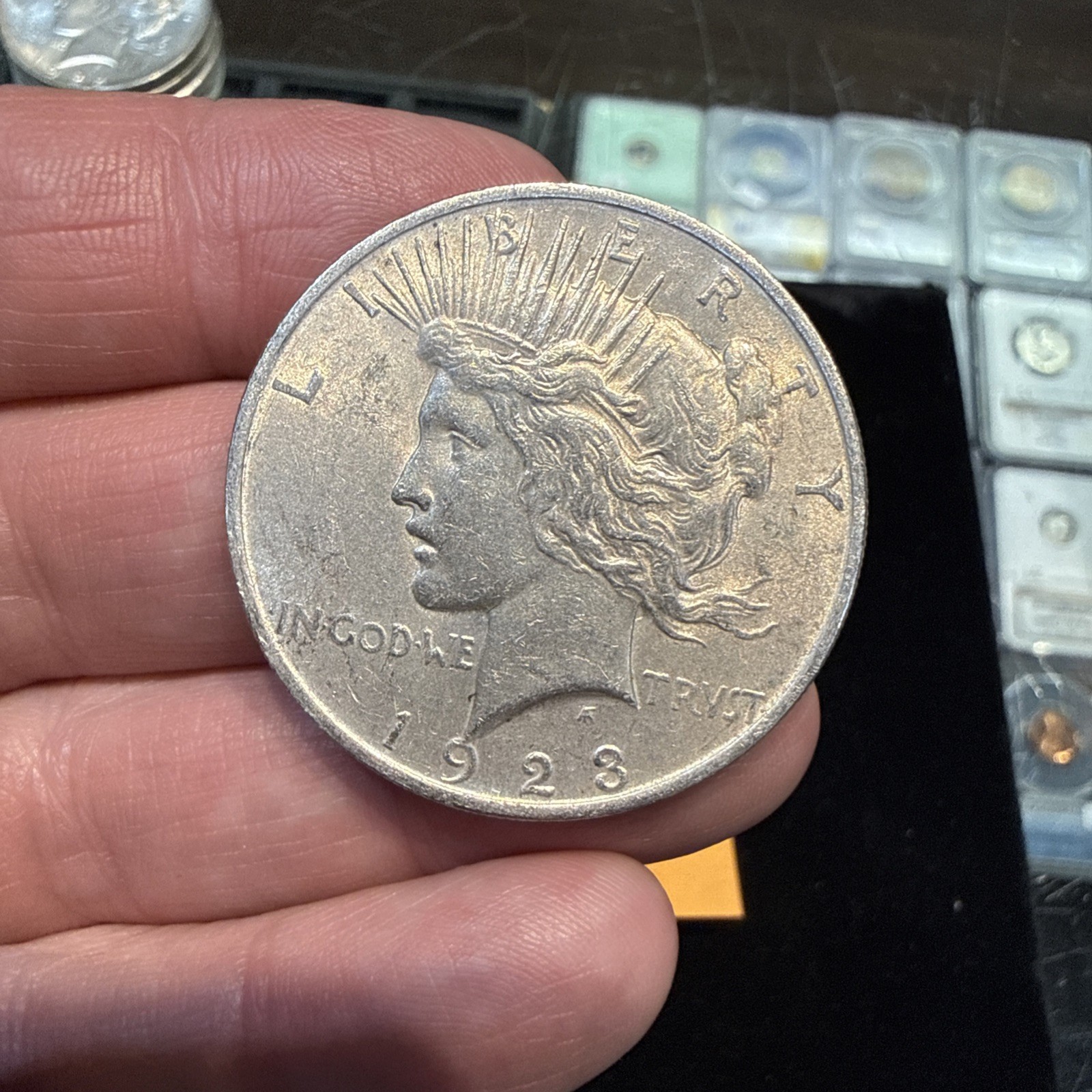 Lot Of 5 Peace Dollars