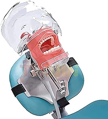 Dental Teaching Head Mold Oral Simulation Simple Head Mold Student Practice Head