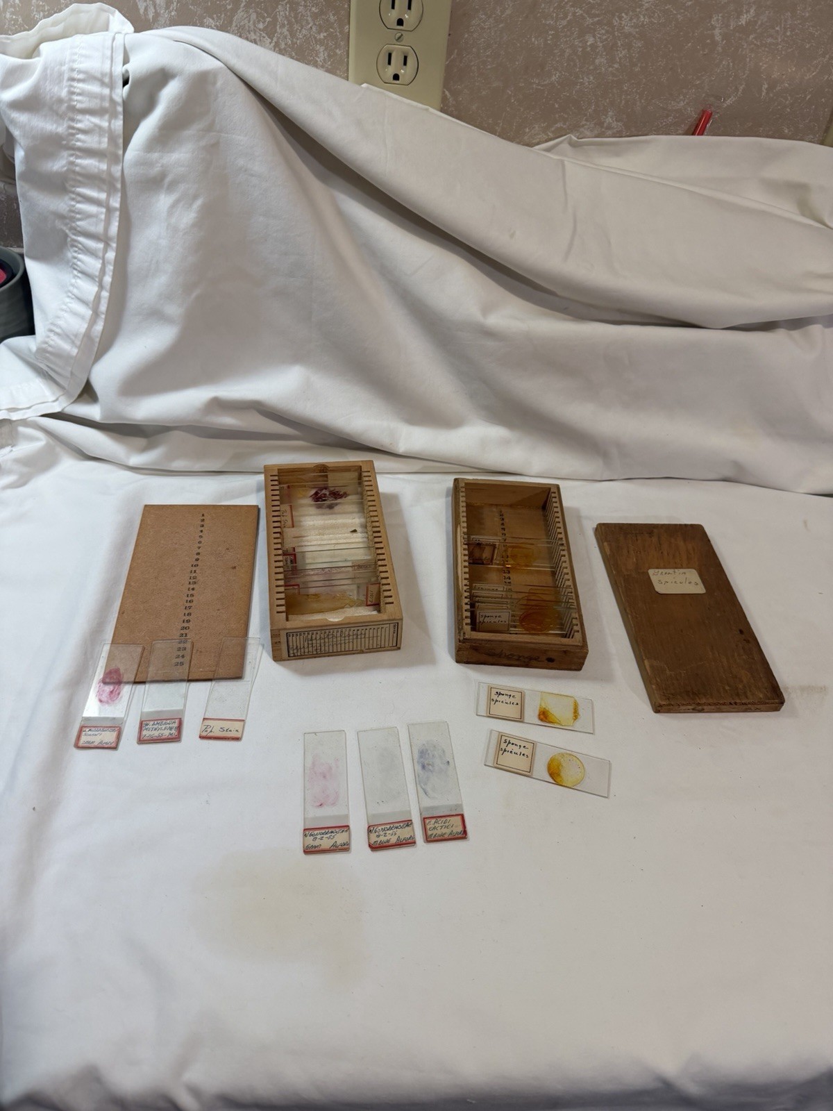 Vintage Microscope Medical Lab Slides