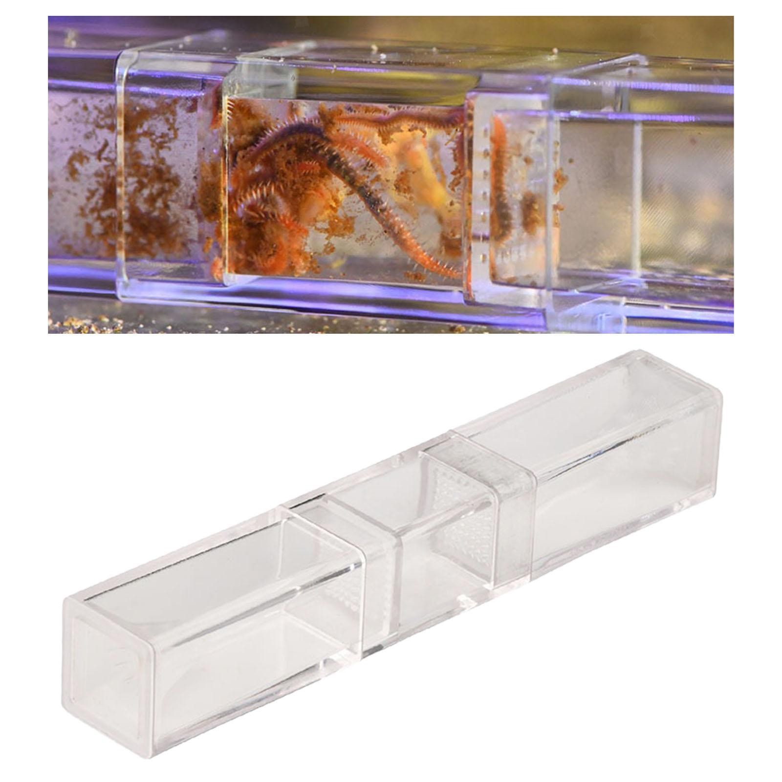 Tank Worm Catcher for Dwarf Shrimp Red Cherry Shrimp Tank Planaria Trap