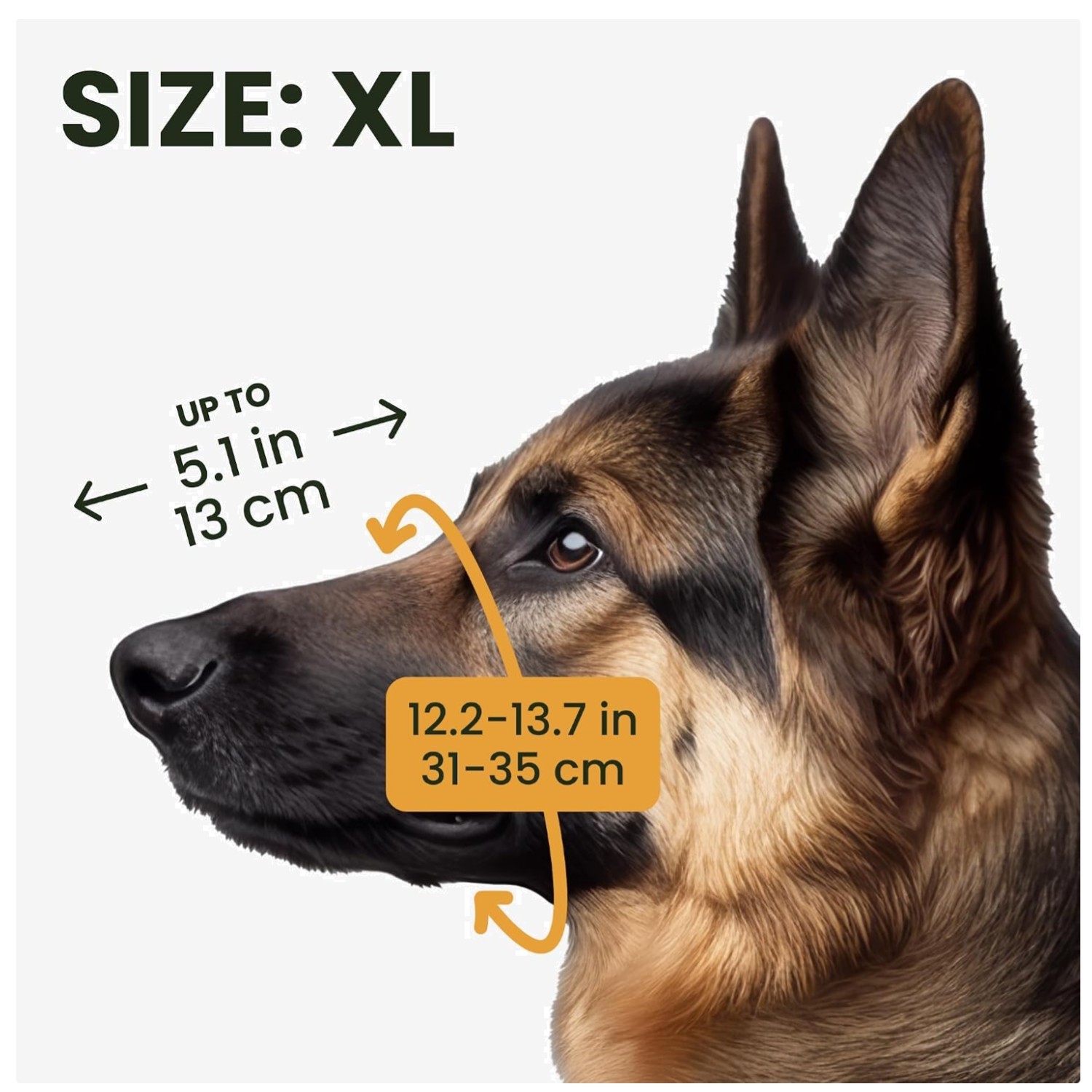 XL Wire Basket Dog Muzzle for Cane Corso & Large Breeds