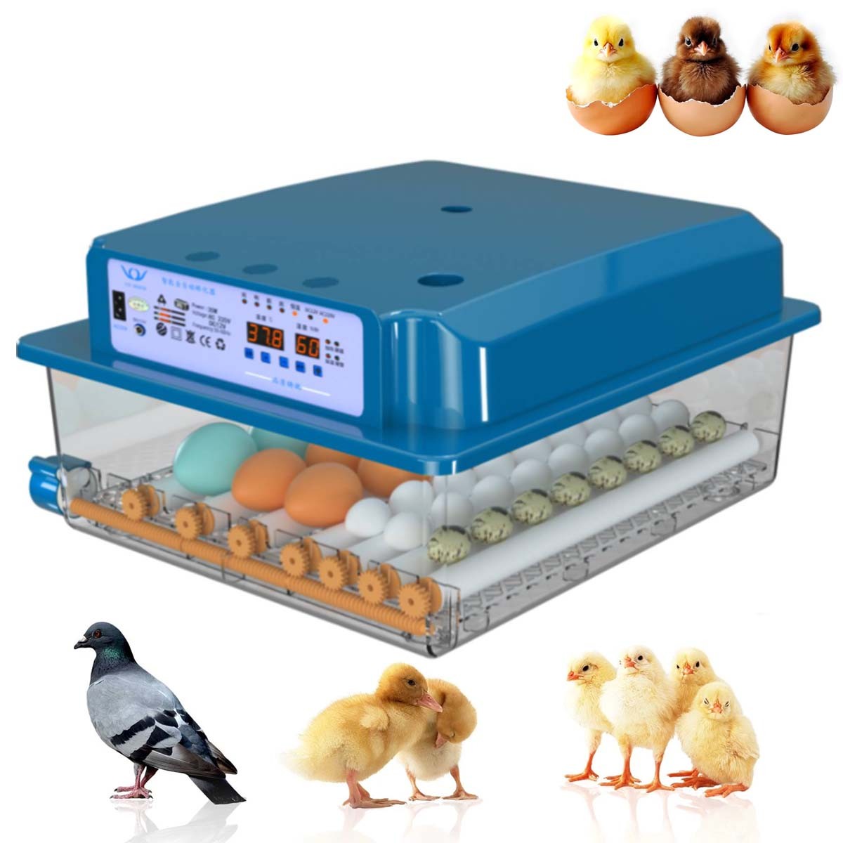 36 Eggs Fully Automatic Incubator Intelligent Chicken Duck Goose Egg Hatcher US