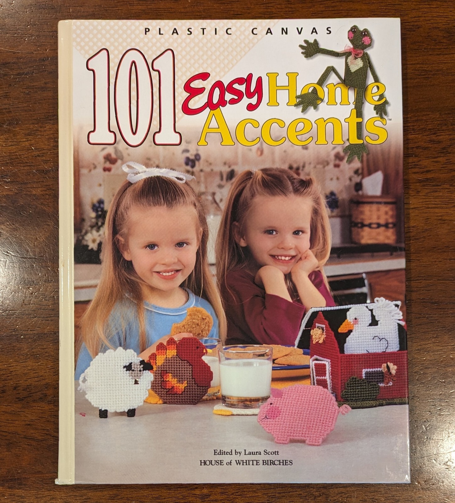 101 Easy Home Accents PLASTIC CANVAS PATTERN BOOK Very Good Used