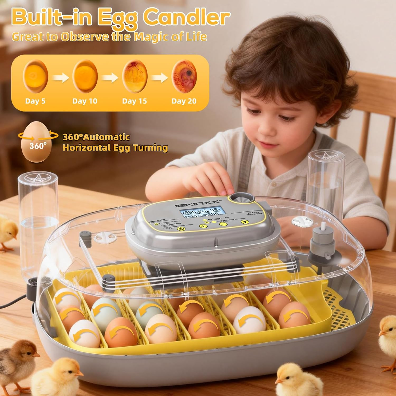 Incubator for Hatching Eggs-24 Egg Capacity, Automatic Egg Turner, Temperature &