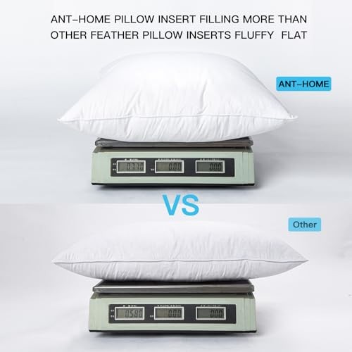 14"x24" Pillow Inserts Soft Feather Pillow Set of 2 14×24inches（Pack of 2）