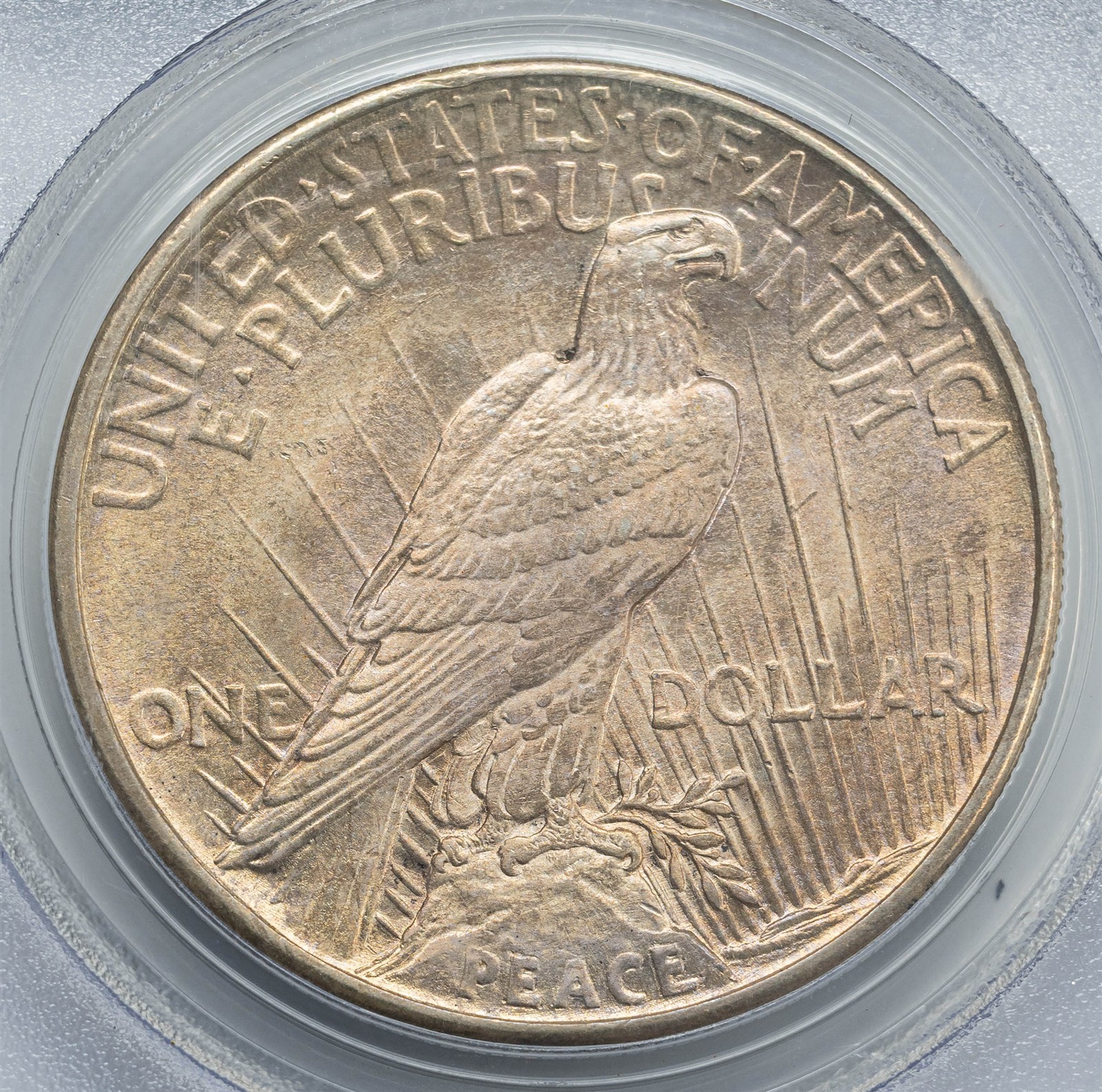 1921 Peace Silver Dollar $ MS64 PCGS 951672-5