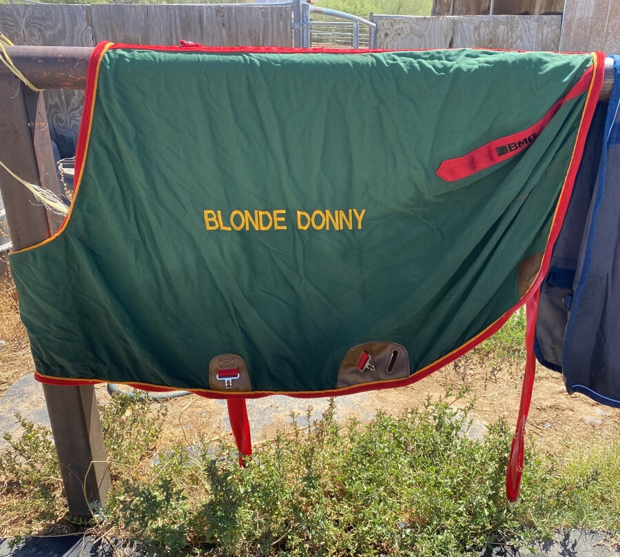 BMB Horse Sheet 65"  Green / Red Yellow Trim & Monogramming NICE Used Shape