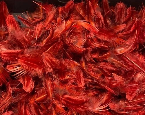 Dyed Golden Pheasant Breast Feathers Various Colours Approx 2g Gordon Griffiths