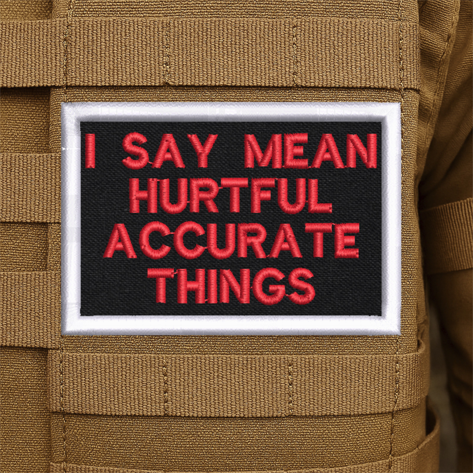 I Say Mean Things Funny Embroidered Morale Patch -2" X 3", Hook & Loop Back