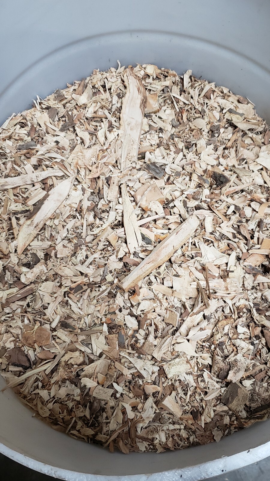 APPLE Wood Chips BBQ/Grilling/Wood Smoking 5LBS ++++ FREE SHIPPING!!!