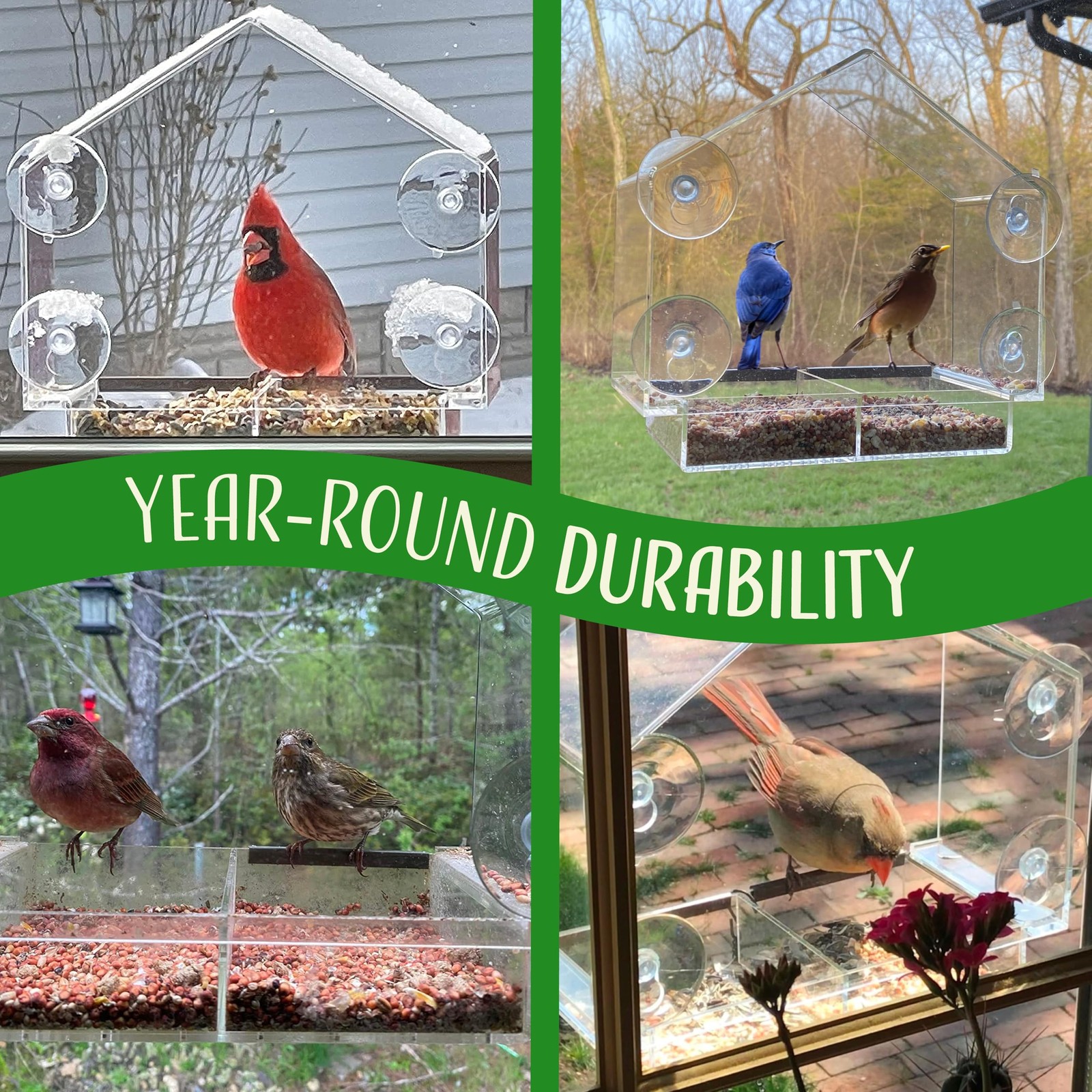 Window Bird Feeder with Strong Suction Cups, Clear 9 Inch,