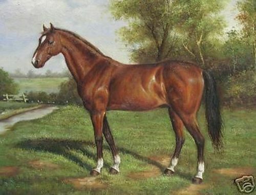 MQ96 Stretched Canvas Frame / Unframed Handmade Horse Landscape  Oil Painting