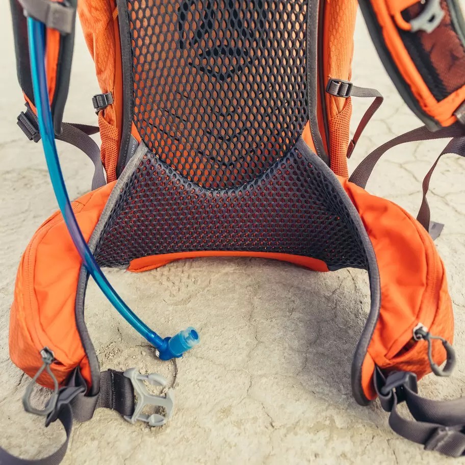 GREGORY Citro 24 H2O Daypack Spark Orange