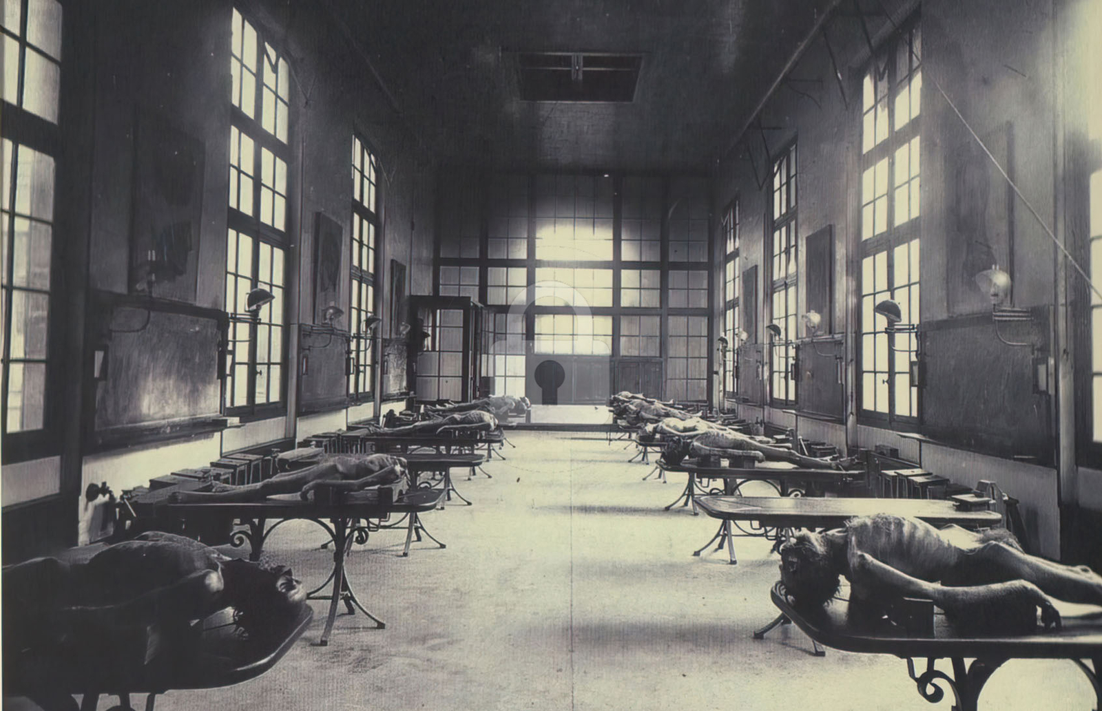 Autopsy Room Postcard Copy
