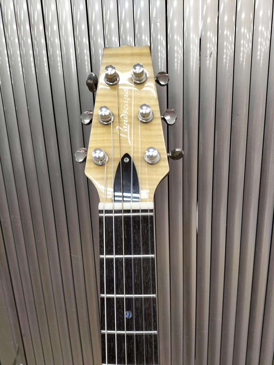 LANDSCAPE SE-01N Electric Guitar