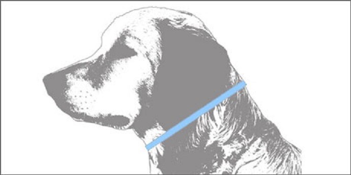 DOG CHOKE PRONG Pinch Rubber Tip No-Pull TRAINING COLLAR Adjustable*4 SIZES