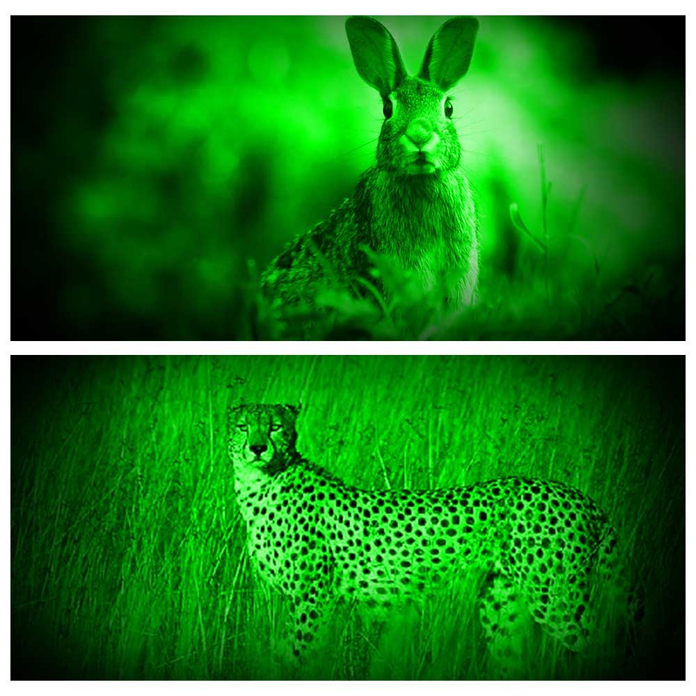 GREEN LED Rechargeable Headlamp Lighting Zoomable with Motion Sensor