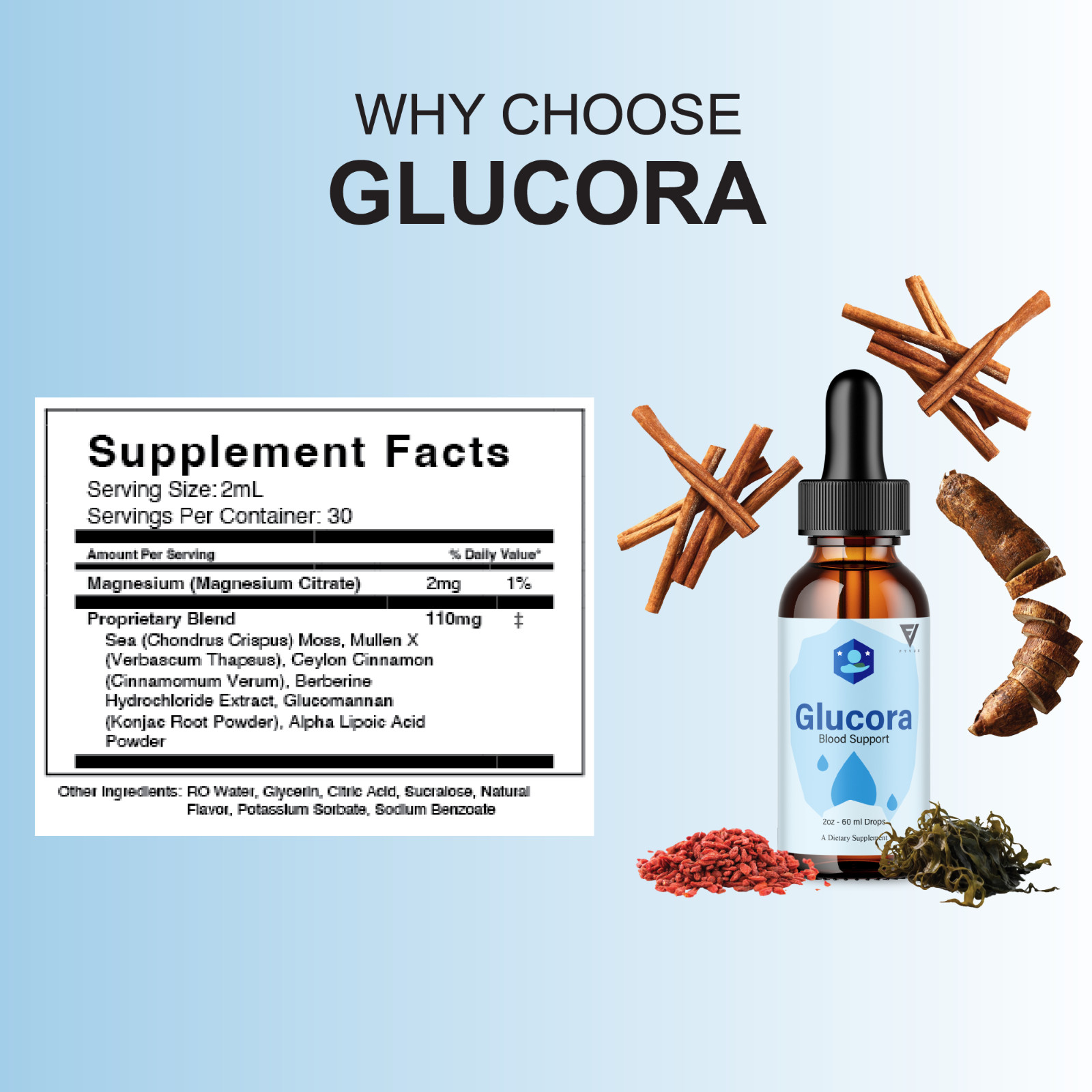Glucora Premium Blood Support Liquid Drop Supplement, Glucoras (2oz)