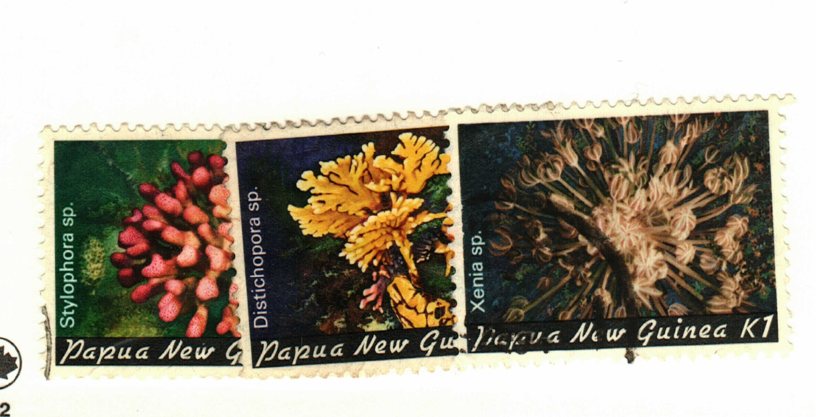 Papua New Guinea #566, 568-9 used