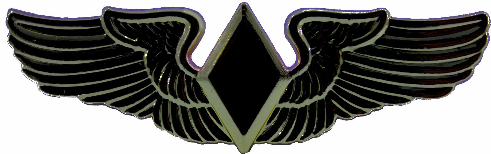 WASP PILOT WINGS WWII WOMENS AIR FORCE SERVICE PILOTS