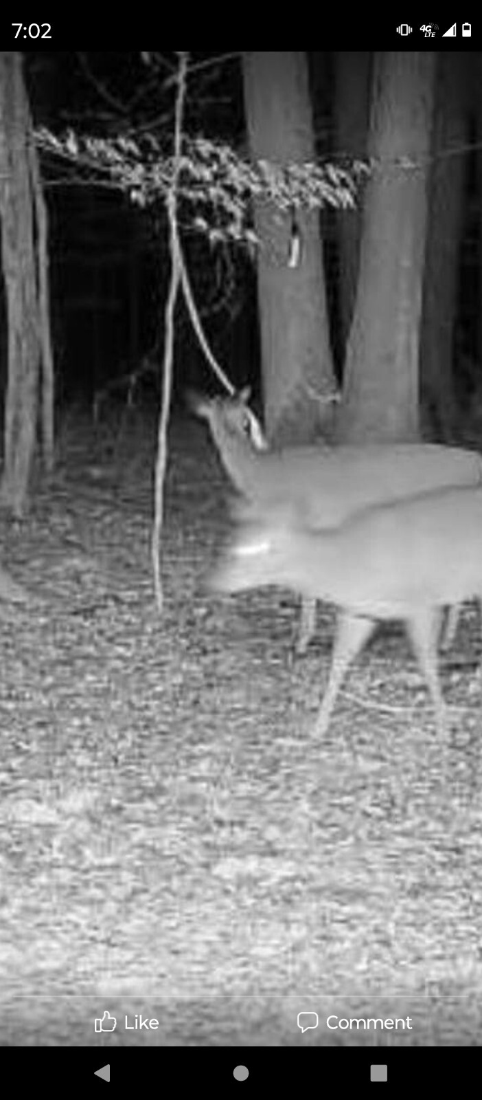 deer attractant Rope Kit! Free Shipping!