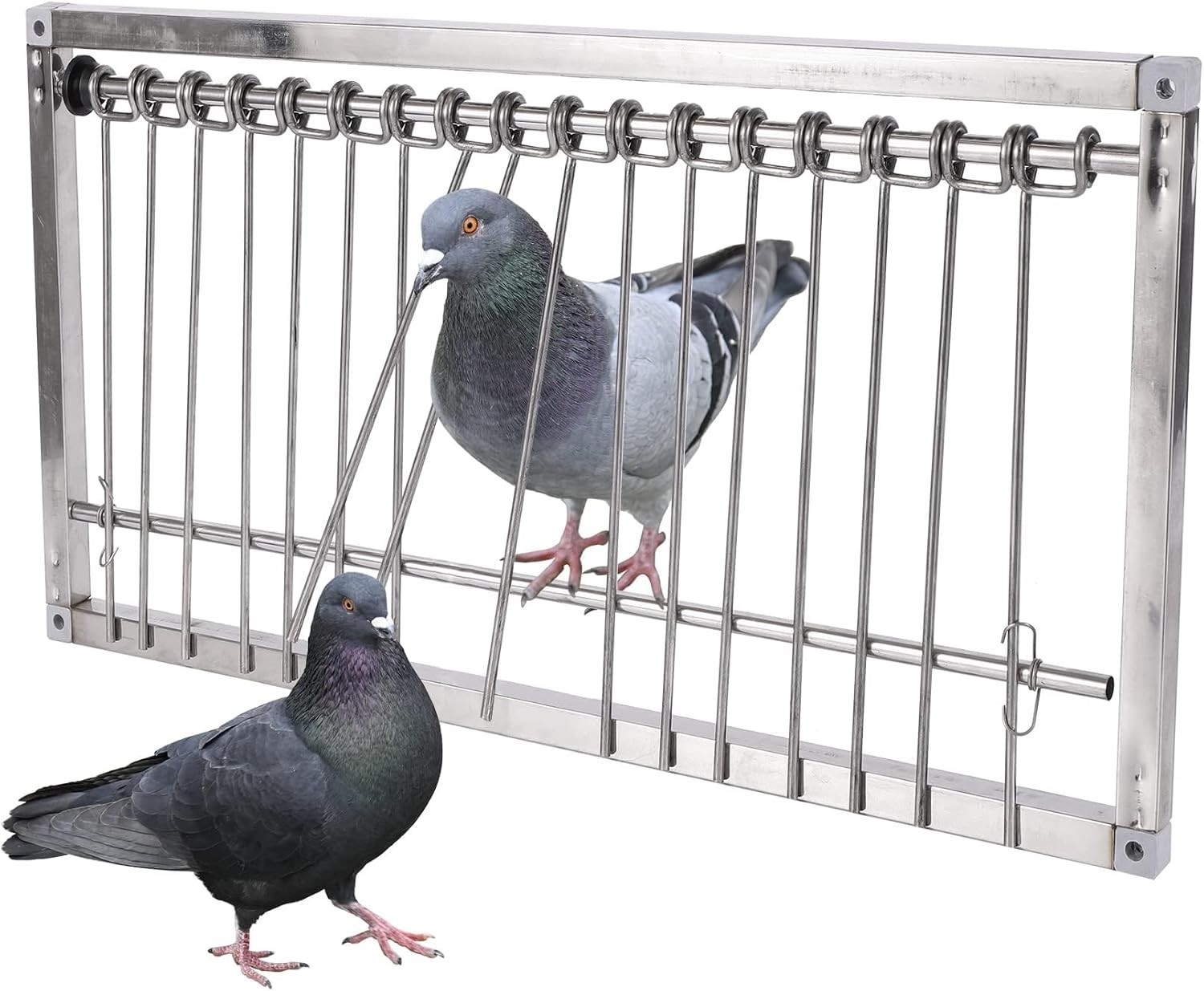 1 jaula para pájaros, trampa de acero inoxidable para palomas, puerta con barras