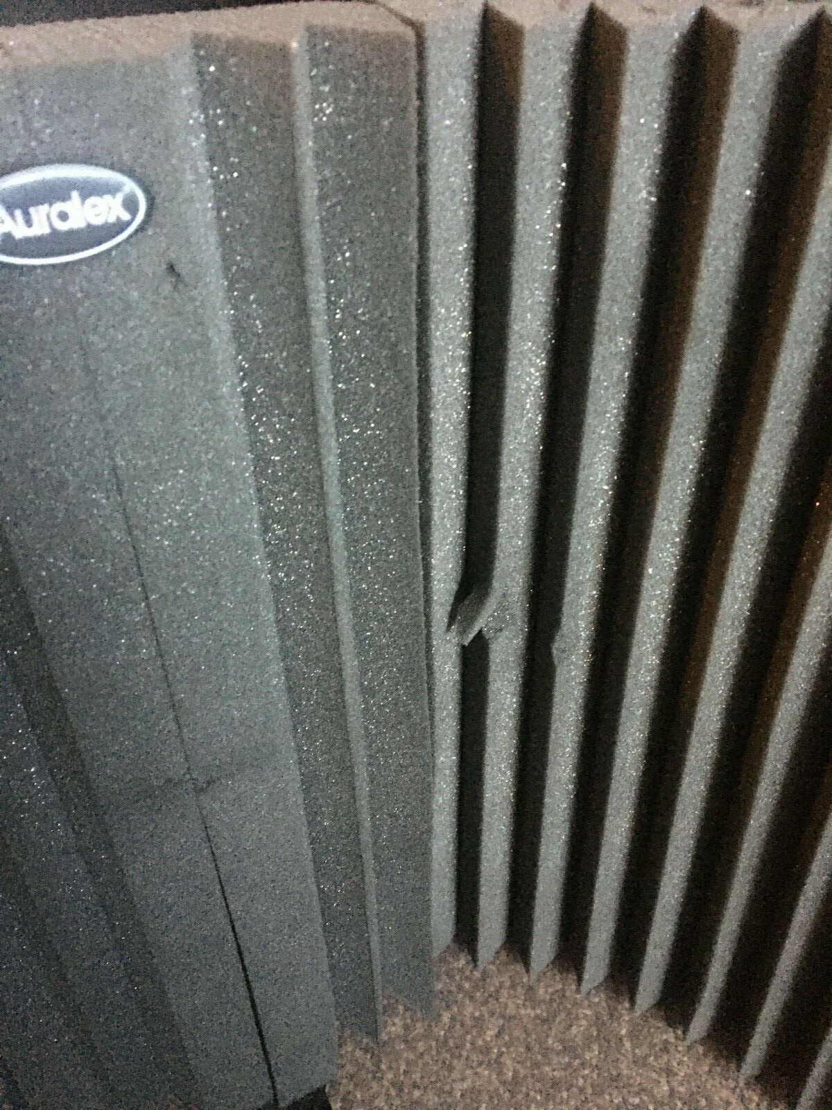 Auralex MudGuard Microphone Shield