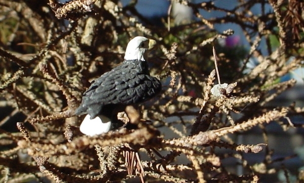 Bald Eagle Miniatures (3) 1/24 Scale G Scale Diorama Accessory Items