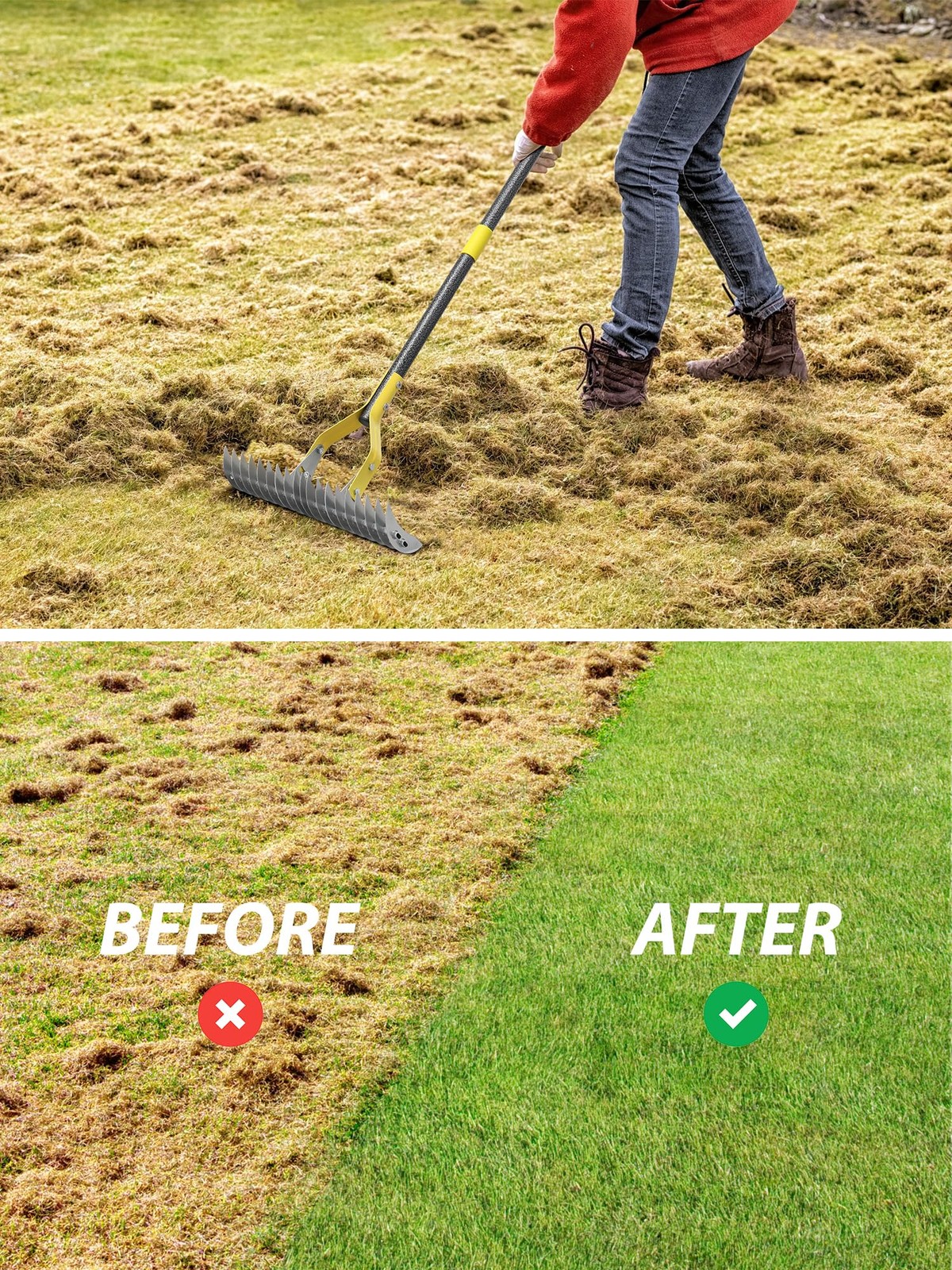 Thatch Rake, 2-in-1 Lawns Manual Dethatcher with Adjustable Head, 55" Heavy D...