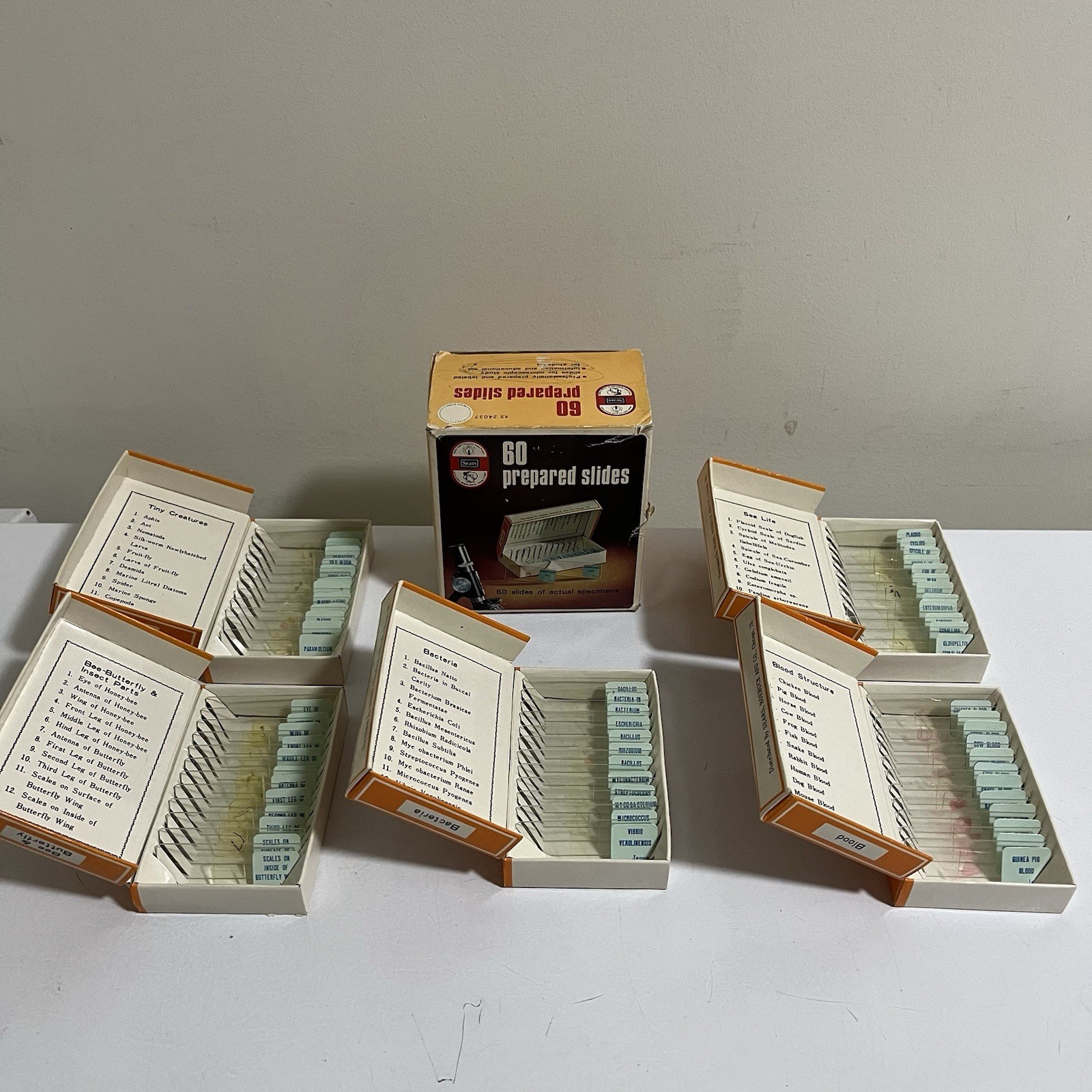 Vintage Sears 60 Prepared Specimen Microscope Slides Insects Blood Bacteria